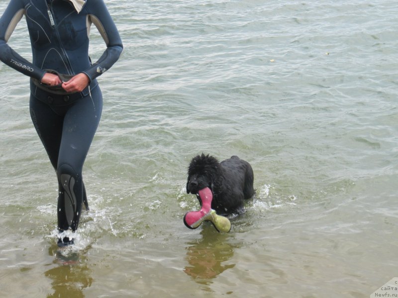 Фотография № 237902