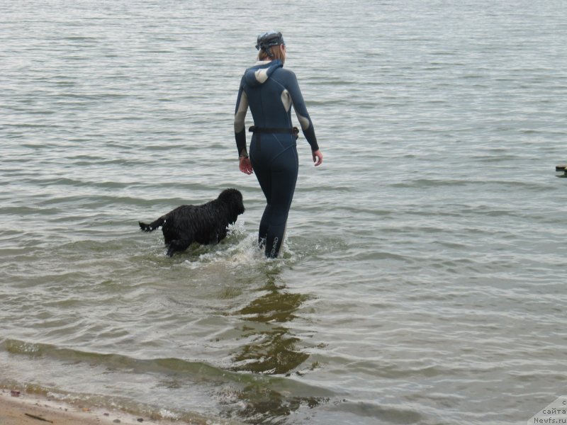 Фотография № 237904