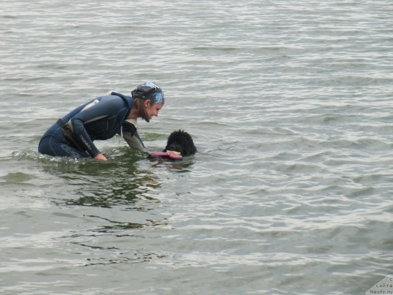 Фотография № 237905