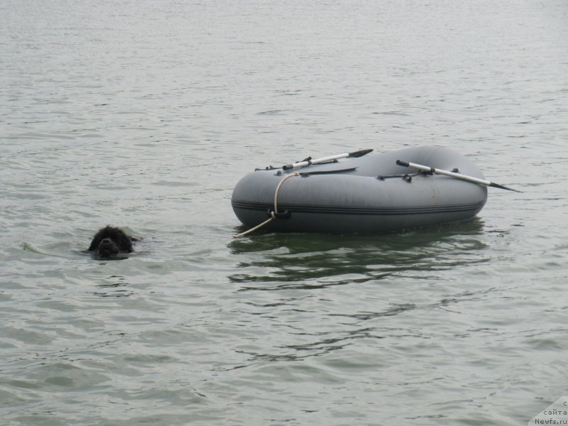 Фотография № 237906