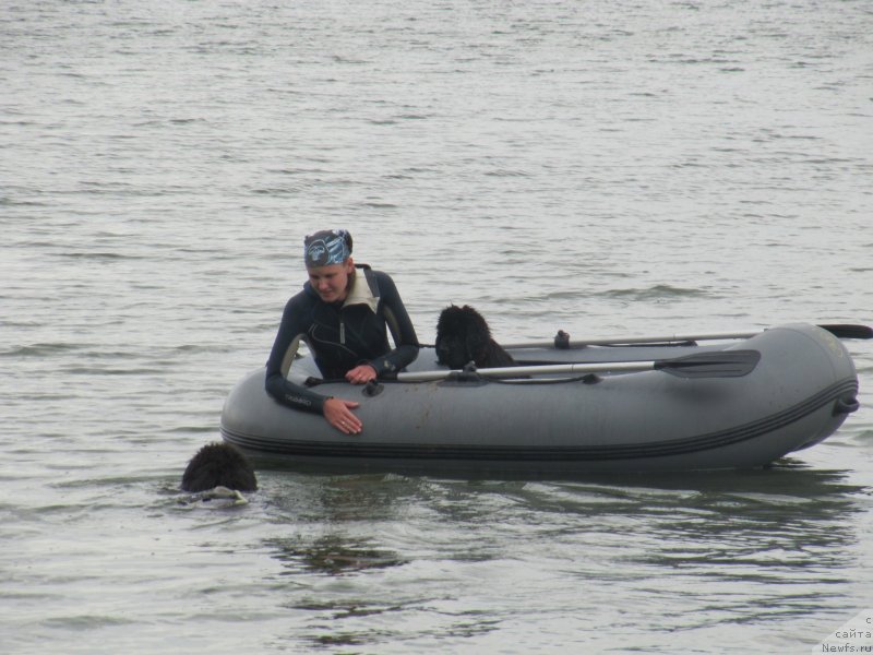 Фотография № 237908