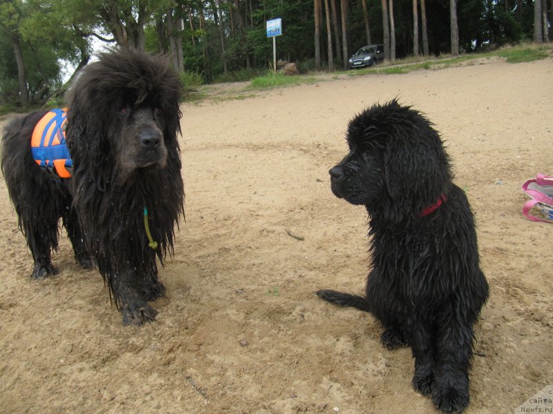 Фотография № 237912