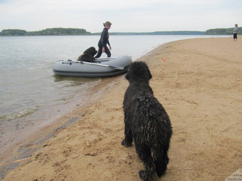 Фотография № 237913