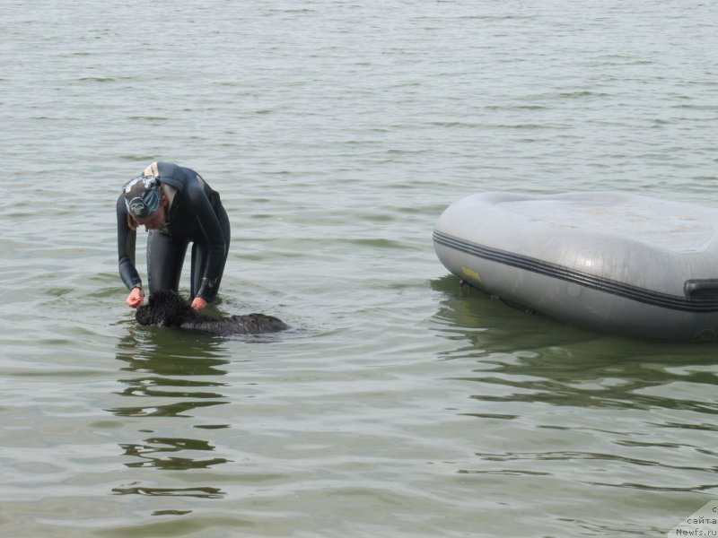 Фотография № 237918