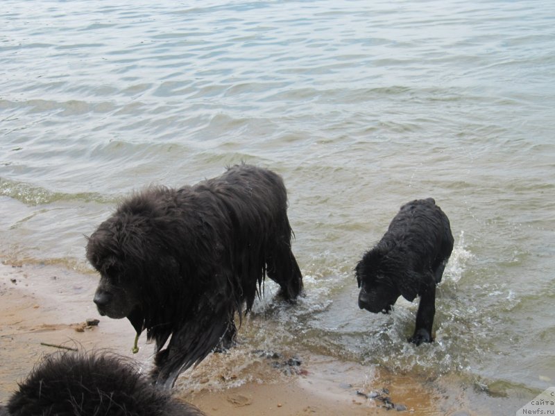 Фотография № 237920