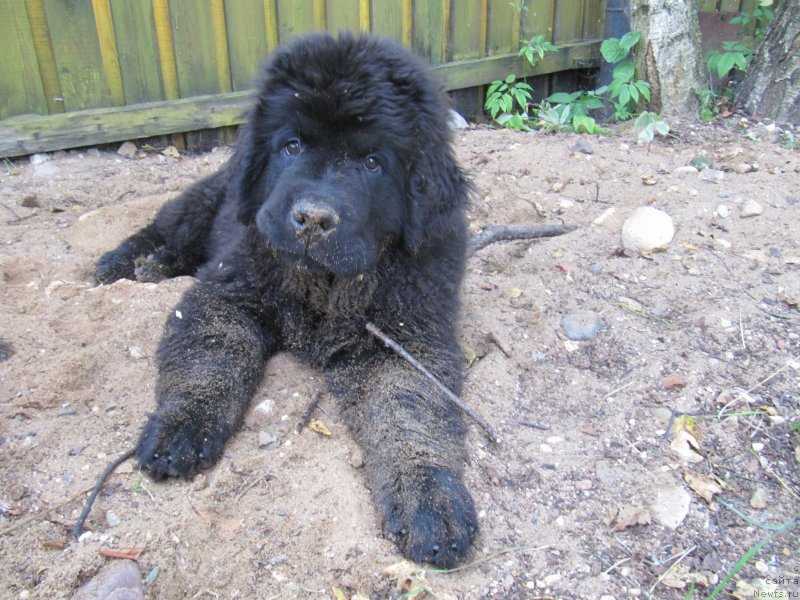 Фотография № 237926