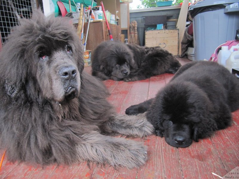 Фотография № 237929