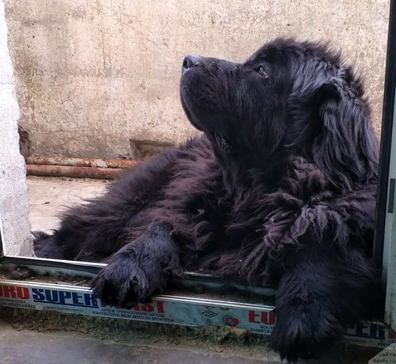 Фотография № 237944