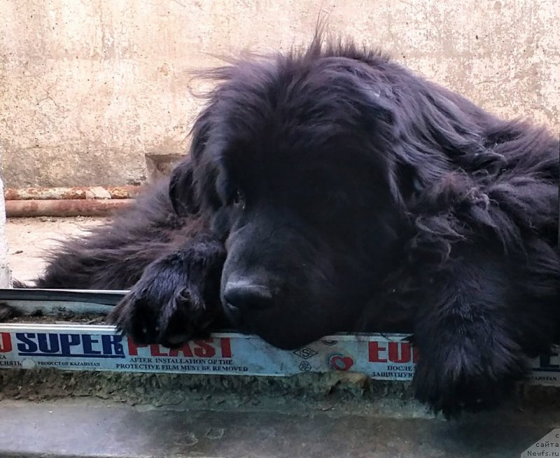 Фотография № 237946