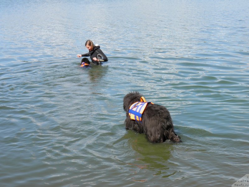 Фотография № 237949