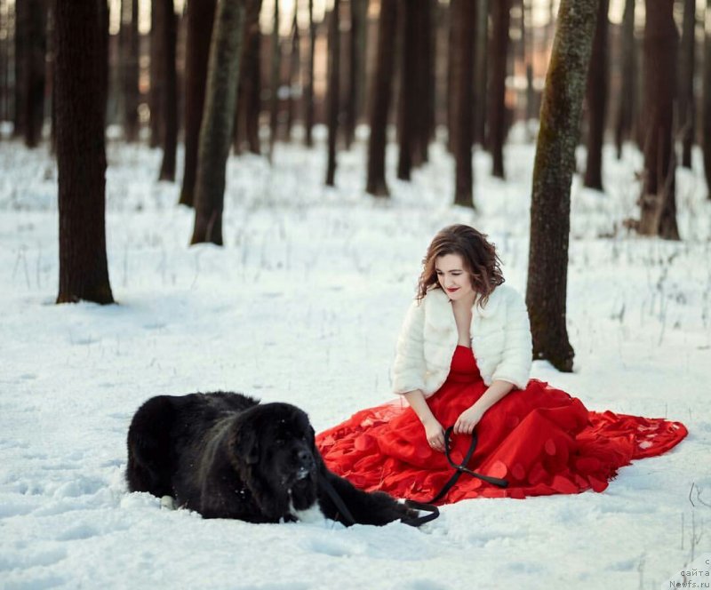 Фотография № 237955