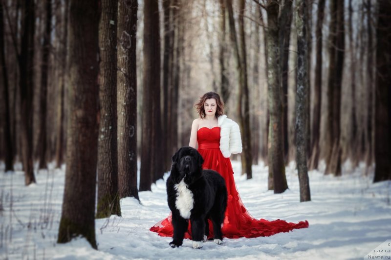 Фотография № 237956