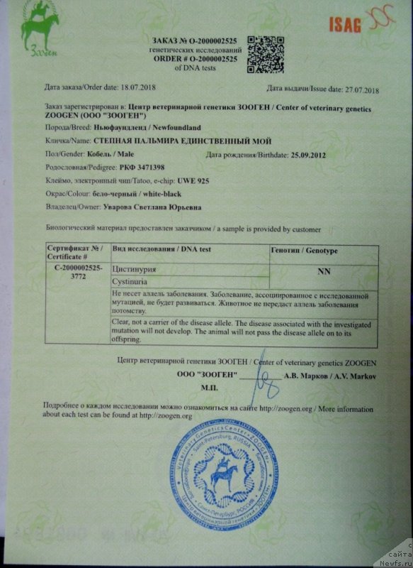 Фото: ньюфаундленд Stepnaya Pal'mira Edinstvennyiy Moy (Степная Пальмира Единственный Мой)