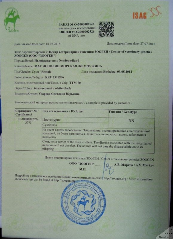 Фото: ньюфаундленд Mag Ispolin Morskaya Jemchujina (Маг Исполин Морская Жемчужина)