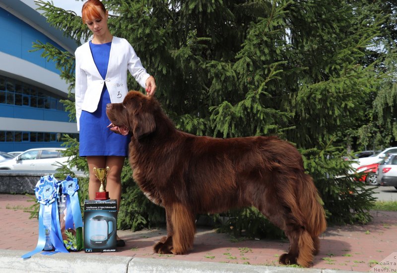 Фотография № 238000