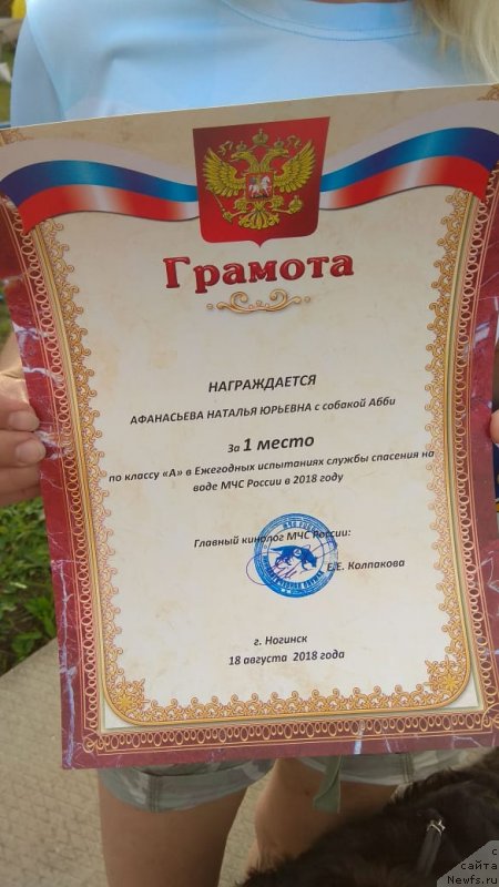 Фотография № 238024