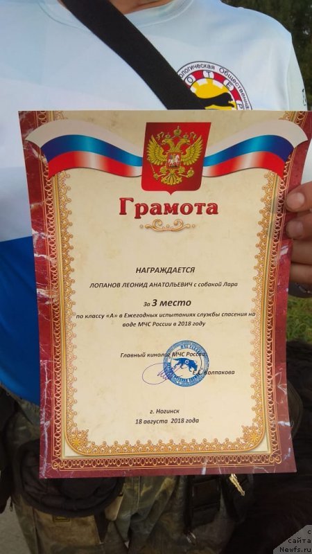 Фотография № 238026