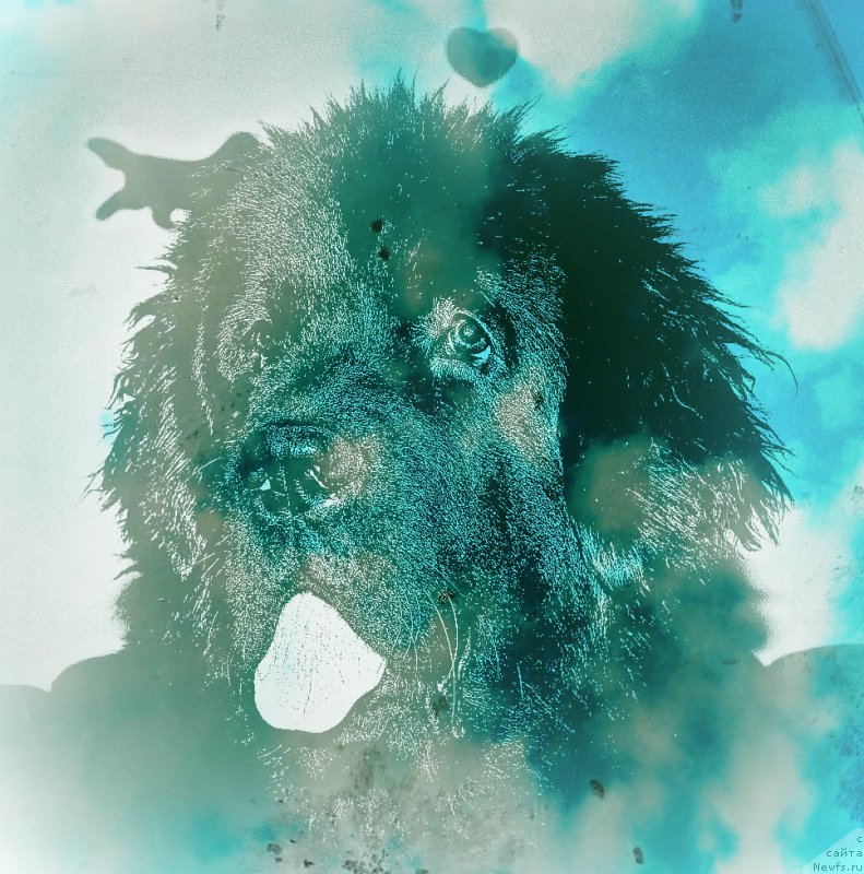 Фотография № 238071