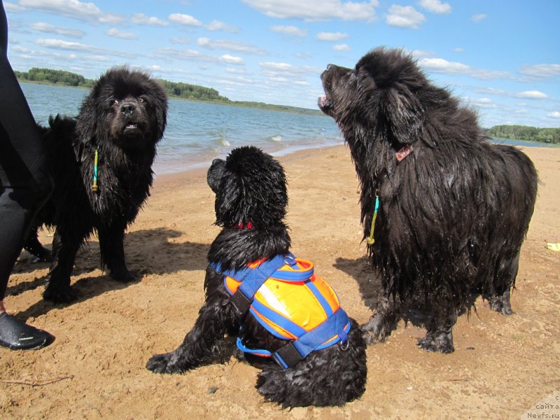 Фотография № 238074