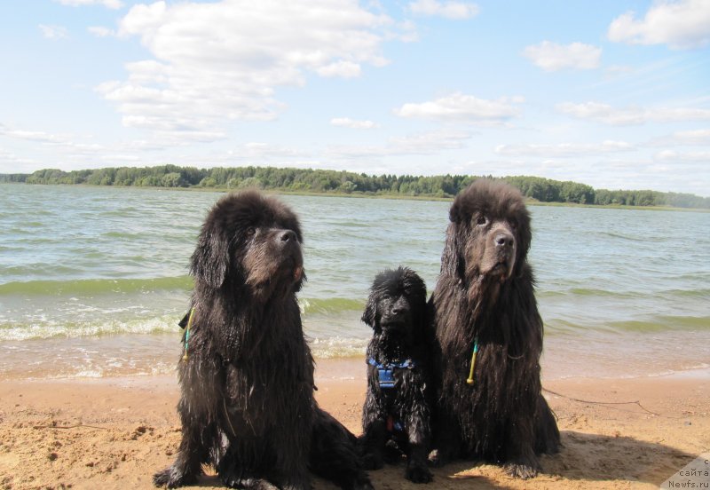 Фотография № 238076