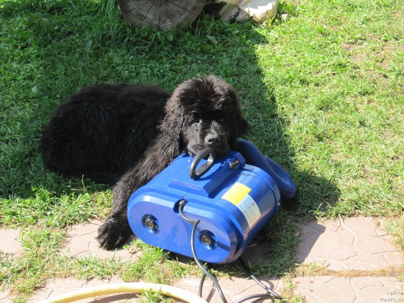 Фотография № 238079