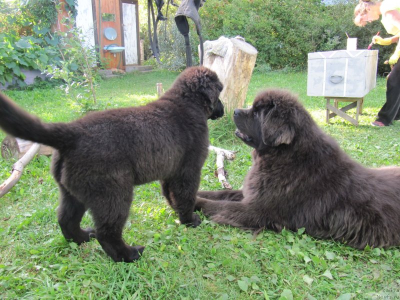 Фотография № 238082