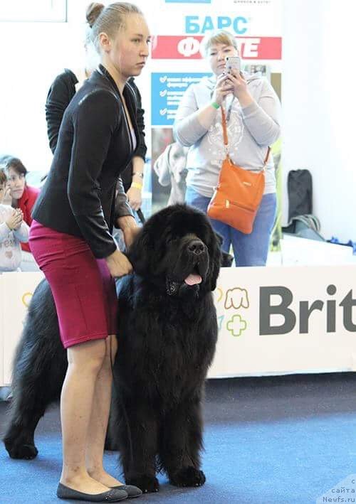 Фотография № 238121