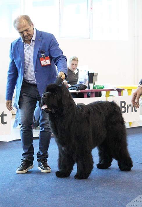 Фотография № 238130