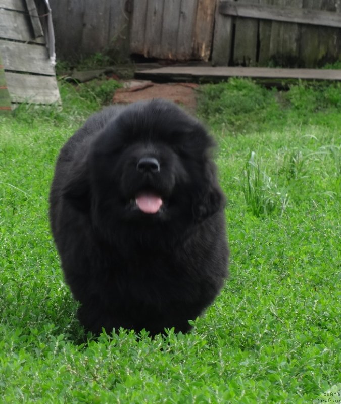 Фото: Irina Panyushkina (Ирина Панюшкина)