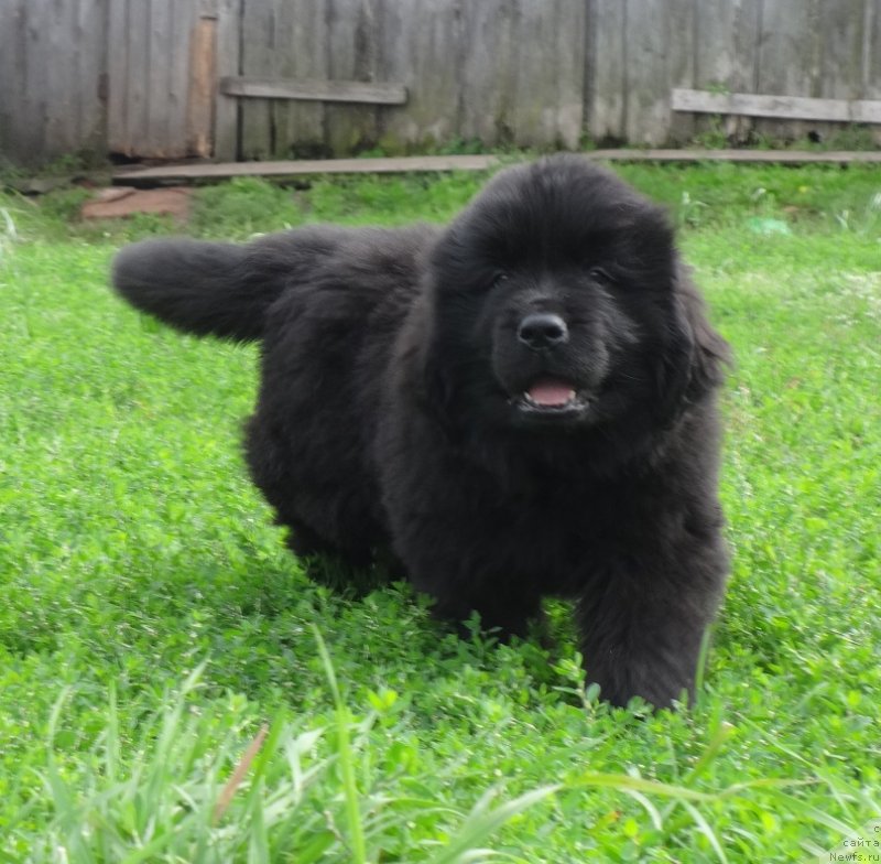 Фото: Irina Panyushkina (Ирина Панюшкина)