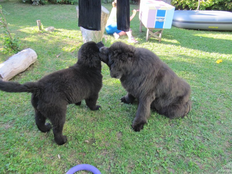 Фотография № 238198