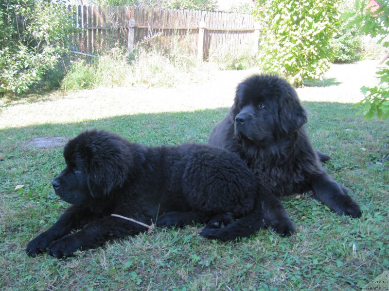 Фотография № 238204