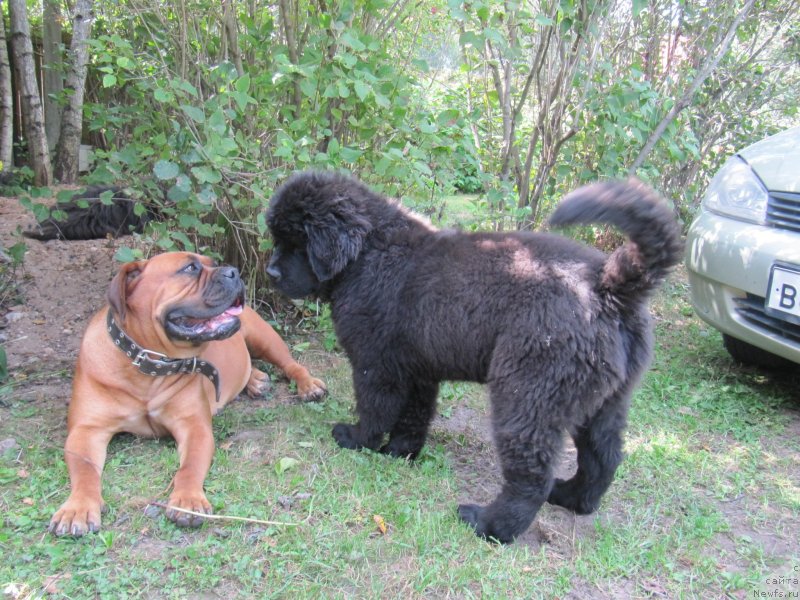 Фотография № 238211