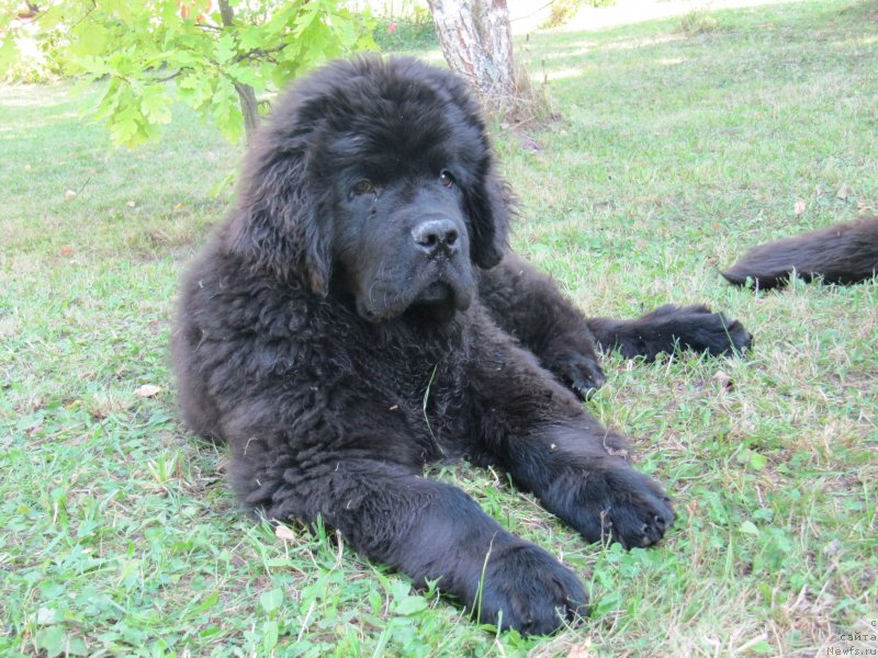 Фотография № 238214