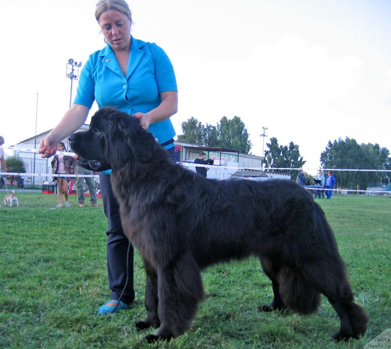 Фотография № 238222