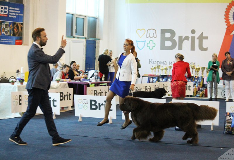 Фотография № 238227