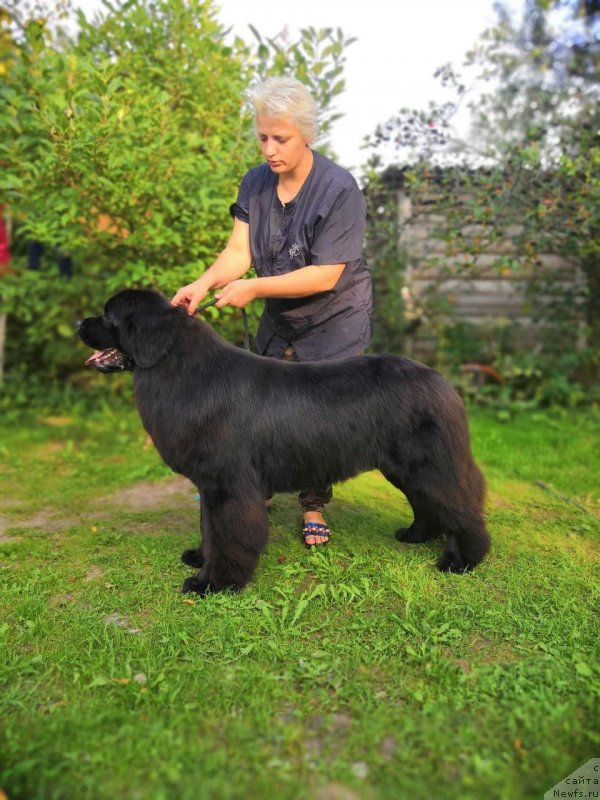 Фотография № 238251