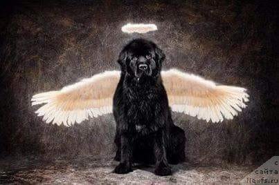 Фотография № 238259