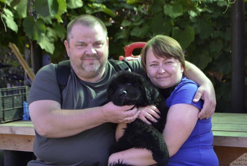 Фотография № 238268