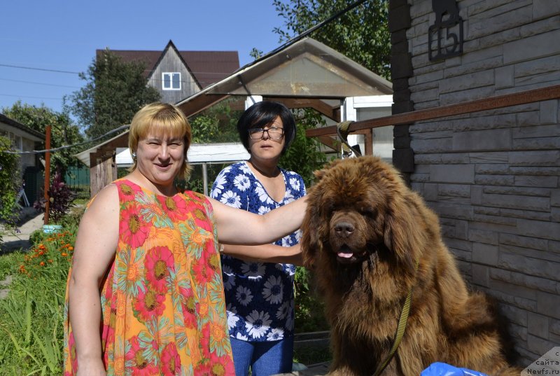 Фото: Zoya Leven (Зоя Левен), ньюфаундленд Charli The Best Helfi Pel (Чарли Де Бест Хелфи Пэл), Elena Bajutina (Елена Бажутина)