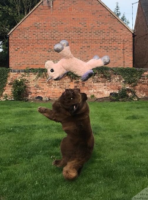 Фотография № 238286