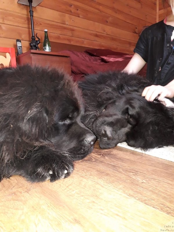 Фотография № 238287