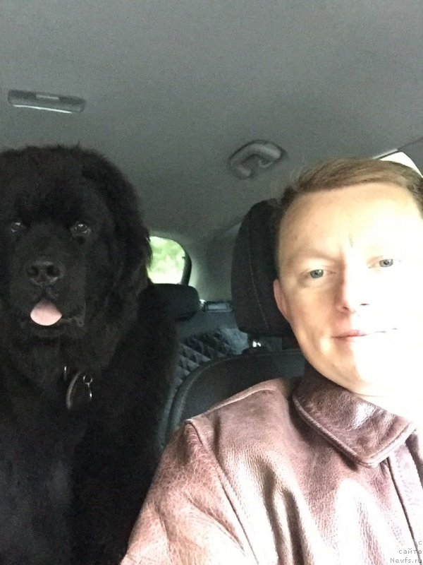 Фотография № 238289