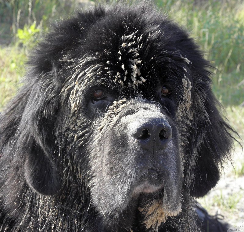 Фотография № 238309