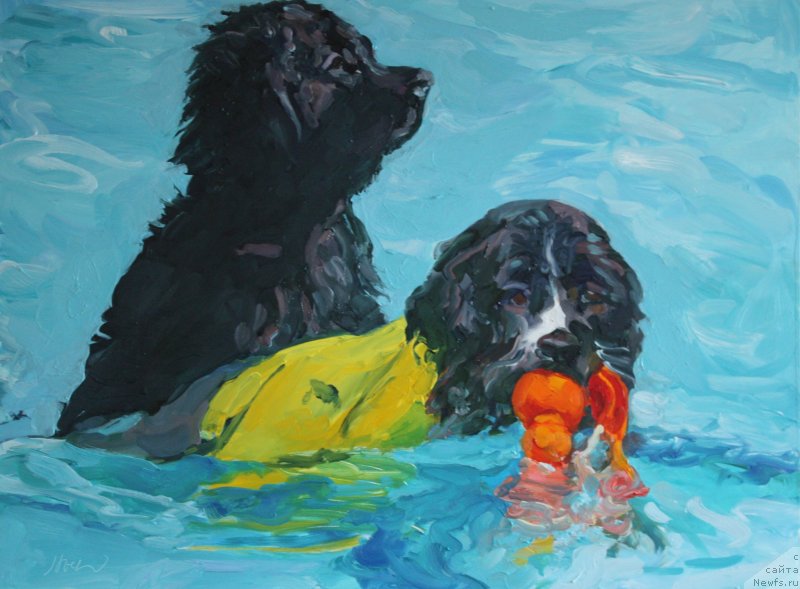 Фотография № 238311