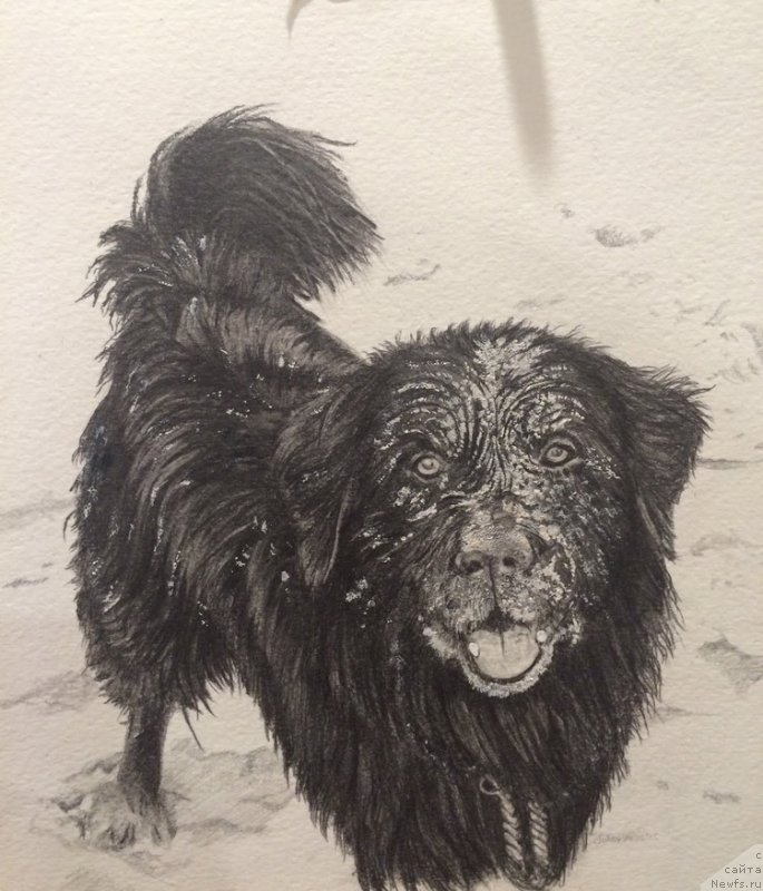 Фотография № 238329