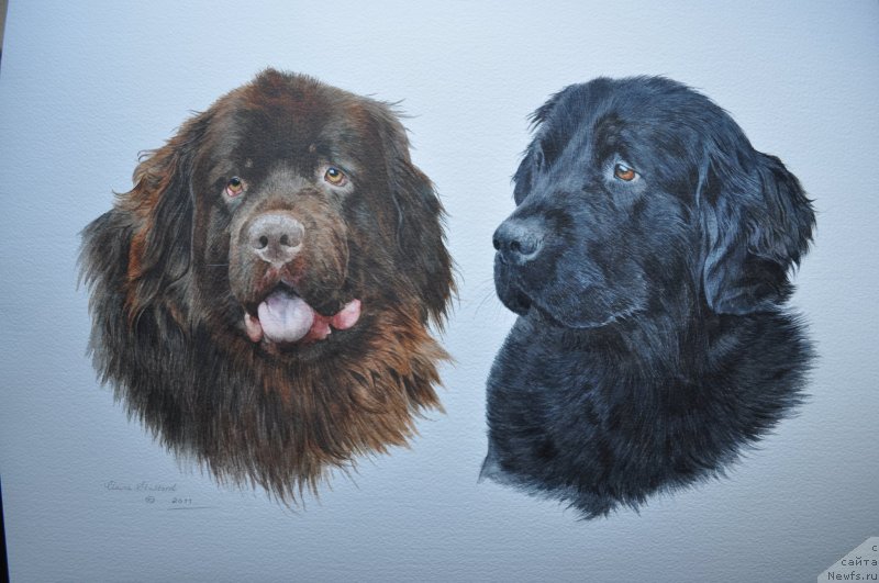 Фотография № 238369