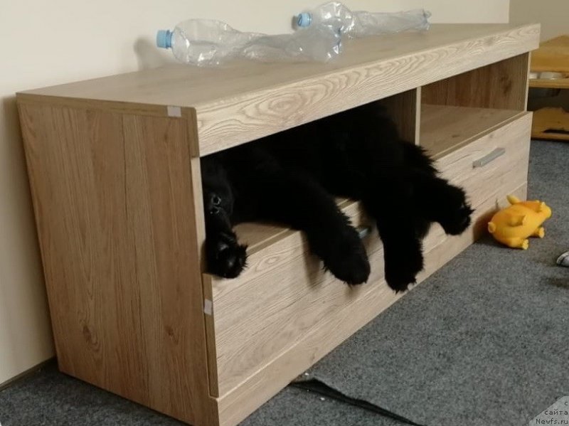 Фотография № 238371