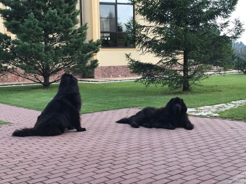 Фотография № 238386