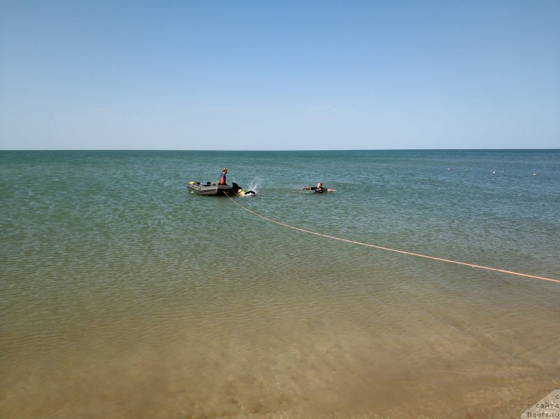 Фотография № 238388